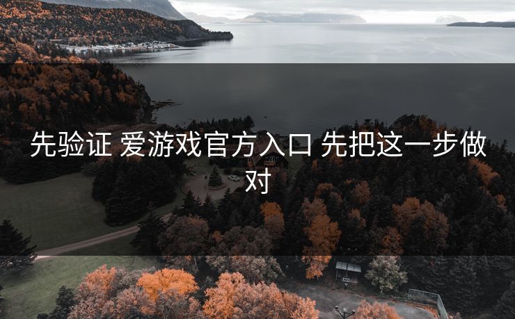 先验证 爱游戏官方入口 先把这一步做对