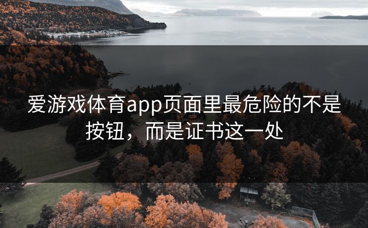 爱游戏体育app页面里最危险的不是按钮，而是证书这一处