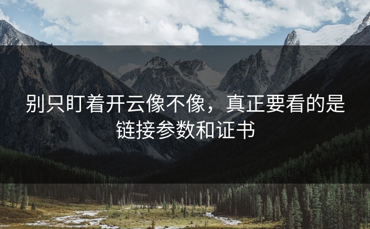 别只盯着开云像不像，真正要看的是链接参数和证书